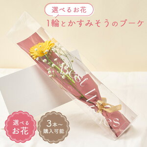 y3{w\z1ւƂ݂̃u[P Iׂ邨 NAP[Xt o K[x J[l[V   ԑ ~ju[P v[g t[Mtg     