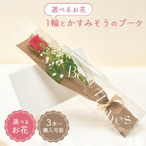 y3{w\z1ւƂ݂̃u[P Iׂ邨 NAP[Xt o K[x J[l[V   ԑ ~ju[P v[g t[Mtg     