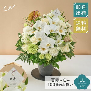 jISuv100΂̂j AWg S M L LL  Ԏsꂩ璼 j a LO j c c v[g Mtg  bsO bZ[WJ[h UE NX