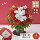 祝！還暦「紅」60歳 LL オーキッド 生花 花市場から直送 誕生日 長寿祝い 60歳 赤 アレンジメント 生花 花束 プレゼント 即日発送 ザワウ