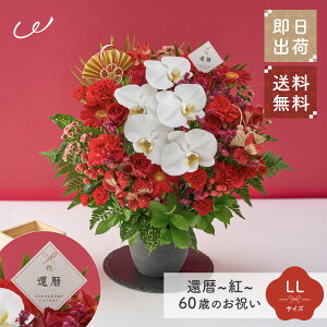 jIҗugv60΂̂j AWg S M L LL  Ԏsꂩ璼 j a LO j c c 60 v[g Mtg  bsO bZ[WJ[h UE N