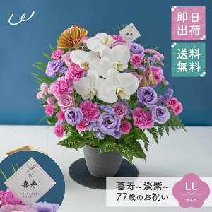 jIuWv77΂̂j AWg S M L LL  Ԏsꂩ璼 j a LO j c c 70 v[g Mtg  bsO bZ[WJ[h UE 