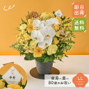 祝！傘寿「黄」80歳LL オーキッド 長寿祝い 花 アレンジメント LLサイズ ボリューム 生花 花市場から直送 お祝い 誕生日 記念日 長寿祝い 祖父 祖母 父親 母親 プレゼント 贈り物 ギフト ザワウ 父の日ギフト