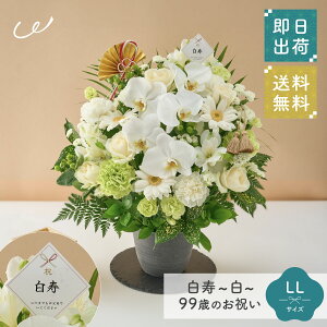 jIuv99΂̂j AWg S M L LL  Ԏsꂩ璼 j a LO j c c 90 v[g Mtg  bsO bZ[WJ[h UE N