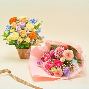 JtVeBAWgM ԑ  Ԏsꂩ璼  AWg 5000~  j a LO v[g Mtg bsO bZ[WJ[h UEMtg NX