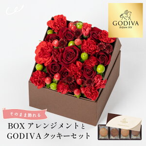 yẑ܂܏遄BOXAWg  GODIVA NbL[Zbg Vbp[t SfBo OhVNbL[  t[Mtg XC[cZbg GODIVA a LO Mtg