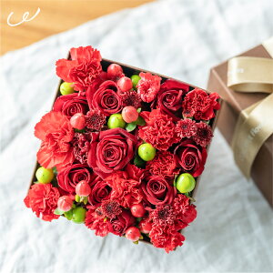 G߂̂Ԃ܂ fUCBOXAWg ̂܂܏  j a j t[{bNX o J[l[V 킢   Mtg v[g  