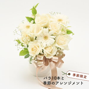 o10{ƋG߂̂jAWg ԑ  Ԏsꂩ璼 AWg  o K[x j a 킢  Mtg v[g  񂰕t bZ[