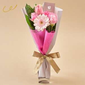 G߂̂Ԃ܂ V[YiJtu[PSS Ԏsꂩ璼 ԑ  2000~ ~ju[P  j a LO    ؍bsO v`Mtg bZ[WJ[h