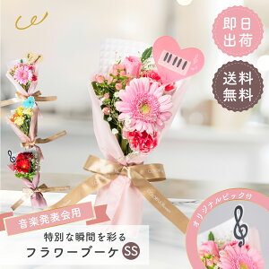 ysAm\pz t[u[PSS   ԑ ~ju[P v[g t[MtgsAm \ oCI y ̎q j̎q sAm̐搶 sAjXgԑ 3000~ȓ 