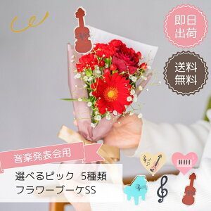 ysAm\pz t[u[PSS   ԑ ~ju[P v[g t[MtgsAm \ oCI y ̎q j̎q sAm̐搶 sAjXgԑ 3000~ȓ 