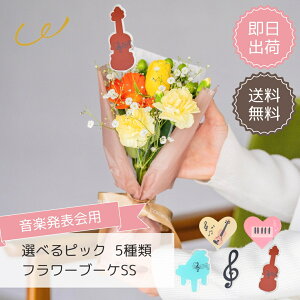 ysAm\pz t[u[PSS   ԑ ~ju[P v[g t[MtgsAm \ oCI y ̎q j̎q sAm̐搶 sAjXgԑ 3000~ȓ 