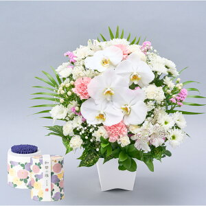 yz  AWg Zbg  ̂܂܏ ݉ AAWgL { Ӓ R`E  Ԏsꂩ璼  t[AW