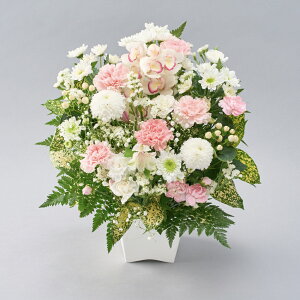 yz  AWg  ̂܂܏ ݉ AAWgS M L {  Ԏsꂩ璼  t[AWg ݉ V~ 