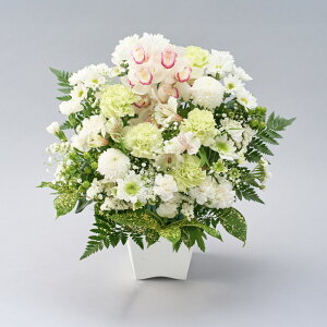 yz  AWg  ̂܂܏ ݉ AAWgS M L {  Ԏsꂩ璼  t[AWg ݉ V~ 