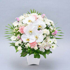 yz  AWg  ̂܂܏ ݉ AAWgL { Ӓ R`E  Ԏsꂩ璼  t[AWg V~