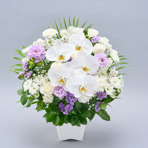 yz  AWg  ̂܂܏ ݉ AAWgL { Ӓ R`E  Ԏsꂩ璼  t[AWg V~