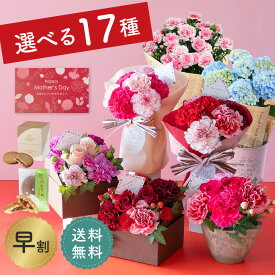 【早割10％OFFクーポン付き】 母の日 プレゼント 花 アレンジメント ブーケ お菓子 スイーツ ギフトセット カーネーション あじさい 紫陽花 おしゃれ フラワー 生花 プレゼント ギフト 贈り物 送料無料