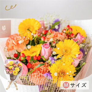 G߂̂܂ ԑMTCY ؍bsO ԑ  Ԏsꂩ璼 K[x o J[l[V j a LO {[ t[AWg v[g Mtg UE