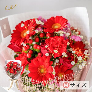 G߂̂܂ ԑMTCY ؍bsO ԑ  Ԏsꂩ璼 K[x o J[l[V j a LO {[ t[AWg v[g Mtg UE