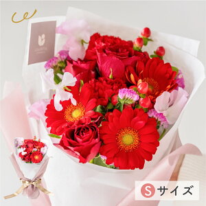 G߂̂܂ ԑSTCY ؍bsO ԑ  Ԏsꂩ璼 K[x o J[l[V j a LO v[g Mtg 3000~ bsO bZ[WJ[h UEM