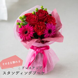 7ނIׂ ̂܂܏X^fBOu[P o K[x av[g  X^fBOu[P 20 30 40 50 60 ԕr炸̉ԑ ̂܂܃u[P sv 