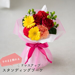 7ނIׂ ̂܂܏X^fBOu[P o K[x av[g  X^fBOu[P 20 30 40 50 60 ԕr炸̉ԑ ̂܂܃u[P sv 