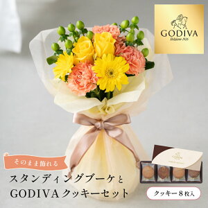 yzX^fBOu[PƃSfBoNbL[Zbg GODIVAVbp[t GODIVA OhVNbL[    t[Mtg XC[cZbg GODIVA a LO Mt