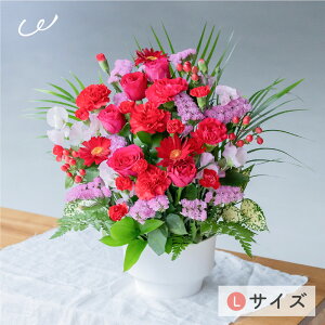 JtK[f AWg S/M/L  Ԏsꂩ璼 j a LO t[AWg t[Mtg z {[ 3000~ v[g  UEMtg NX}X