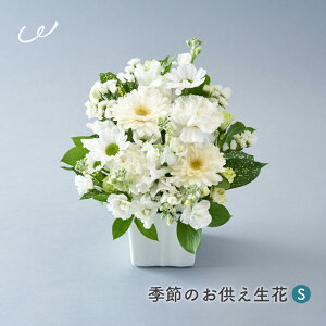 yz  AWg  ̂܂܏ ݉ AAWgS {  Ԏsꂩ璼  t[AWg ݉ V~  