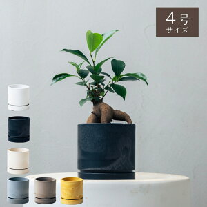 y7ނ̔IׂzIׂ4ƔJo[̃Zbg KW} ACr[ VFt SbhZtBAi e[uV pL ϗtA  Mtg CeA  20 30 40 50