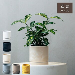 y7ނ̔IׂzIׂ4ƔJo[̃Zbg KW} ACr[ VFt SbhZtBAi e[uV pL ϗtA  Mtg CeA  20 30 40 50