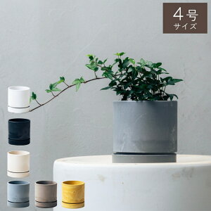 y7ނ̔IׂzIׂ4ƔJo[̃Zbg KW} ACr[ VFt SbhZtBAi e[uV pL ϗtA  Mtg CeA  20 30 40 50