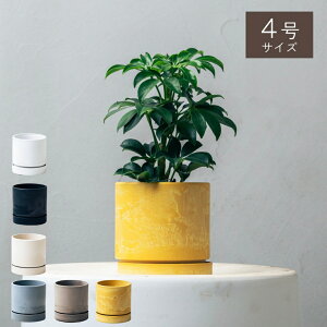 y7ނ̔IׂzIׂ4ƔJo[̃Zbg KW} ACr[ VFt SbhZtBAi e[uV pL ϗtA  Mtg CeA  20 30 40 50