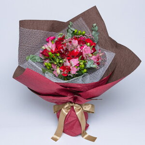 oZuCgu[P - ʂȏuԂ؂₩ɍʂMtg ԑ   KN ΂ LO j a w @l  v[g Mtg   l 1~ȓ  