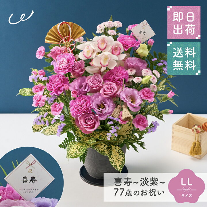 楽天市場】【4/1はP2倍】祝！喜寿「淡紫」77歳 LL オーキッド 長寿祝い 