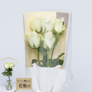 o5{Ɖԕr̃Zbg Ԍt́uȂɏoS̊сv ԑ  t[Mtg ԕr NA  e  c j FB j LO oYj av[