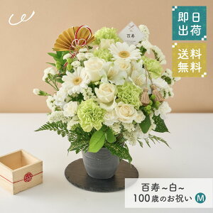 Suv100΂̂j AWgM j  AWg MTCY  Ԏsꂩ璼 j a LO j c c e e v[g 蕨 Mtg UEM