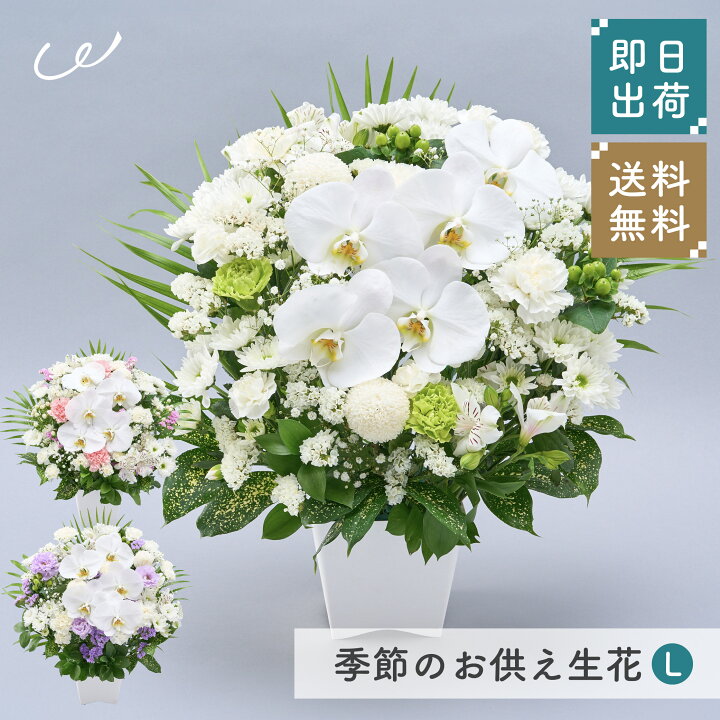 楽天市場】【10/20は全商品ポイント5倍】 メモリアルアレンジメントL  
