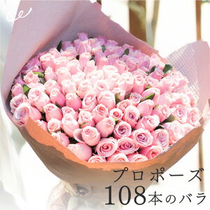 yv|[Yz[Yu[P 100{ 108{ o ԑ  Ԏsꂩ璼 voC[I o YnI ԑ j a j ii10{8=gj v|[Y TvCY Mtg v