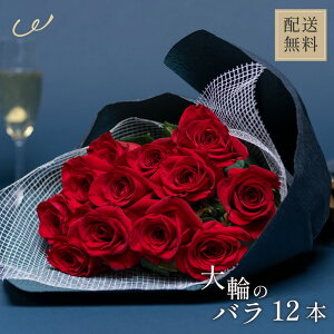 o ԑ 12{ v|[Y LO փ[Y  KN _Y[Y  TvCY v[g  l vw Mtg  v[g LO j  UE NX}X Ε