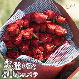 o ԑ 50{ [Yu[P  v|[Y LO a v[g TvCY ޏ  Mtg Yn {[  bZ[WJ[h UE NX}X Ε