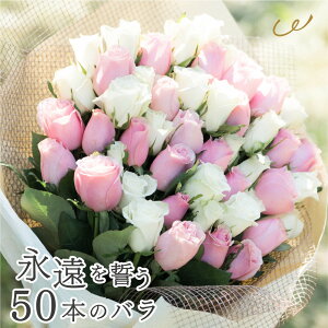 o ԑ 50{ [Yu[P  v|[Y LO a v[g TvCY ޏ  Mtg Yn {[  bZ[WJ[h UE NX}X Ε