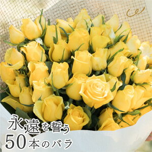 o ԑ 50{ [Yu[P  v|[Y LO a v[g TvCY ޏ  Mtg Yn {[  bZ[WJ[h UE NX}X Ε