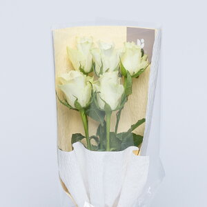 [Yu[P5{@Ԍt́uȂɏoS̊сv  t[Mtg a LO Mtg   o 5{   ꂨ  KN o YnI Ԏsꂩ璼 