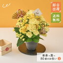 祝！傘寿「黄」80歳のお祝い アレンジメントS 長寿祝い 花 アレンジメント Sサイズ 生花 花市場から直送 お祝い 誕生日 記念日 長寿祝い 祖父 祖母 父親 母親 イエロー 80歳 プレゼント 贈り物 ギフト ザワウ