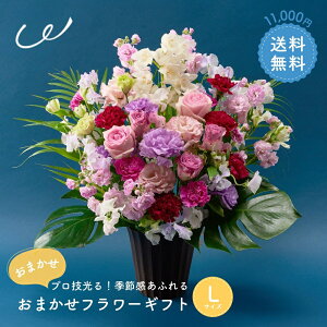 t[AWg  Ӓ VrWE v[g vZ Gߊӂt[MtgL 10000~  a  Mtg    j ܂ UE