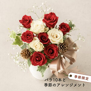 o10{ƋG߂̂jAWg ԑ  Ԏsꂩ璼 AWg  o K[x j a 킢  Mtg v[g  񂰕t bZ[