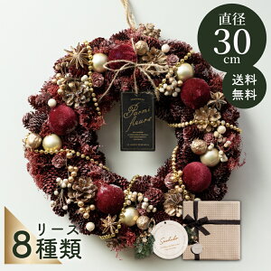 y\zNX}X[X 30cm 傫  v[g [X bh O[ sN   킢 k i`  CeA  fBXvC hA Ǌ| Mtg 