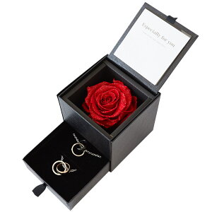 yAlbNX ςȂ  l Jbv AM[Ή O  XeXANZT[ A[T _CAh[Y{bNXt vU[uht[ WG